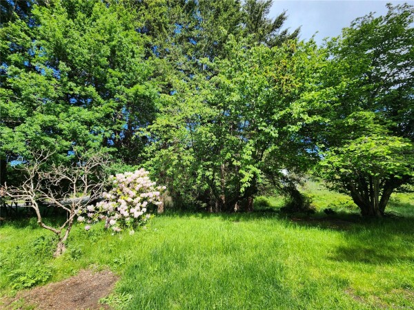 Photo 1 - Backyard - 605 South Rd, Gabriola Island BC V0R 1X3, Gabriola Island, BC V0R 1X3