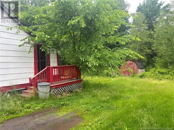 Photo 3 - Backyard - 258 Slope Road, Minto, NB E4B3G8