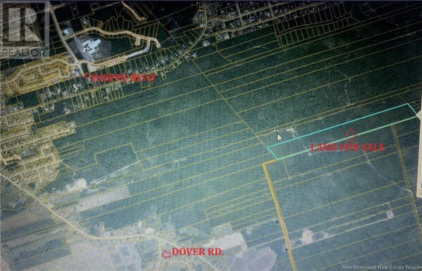 Photo 2 at Woodlot Leblanc Rd, Dieppe Blvd, Dieppe, NB E1A7N3