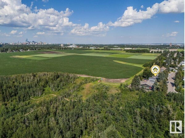 Photo 2 - Backyard - 12620 52B AV NW, Edmonton, AB T6H0R4