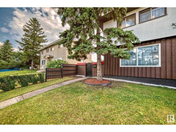 Photo 2 - Backyard - 8821 137 AV NW NW, Edmonton, AB T5E1Y3