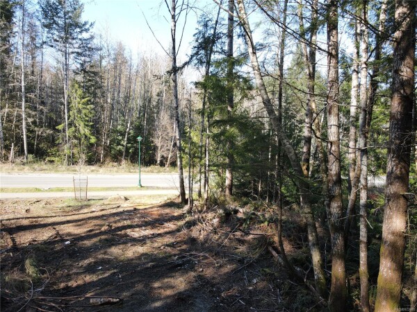 Photo 2 - Backyard - 6871 Ridgecrest Rd, Sooke BC V9Z 1P9, Sooke, BC V9Z 1P9