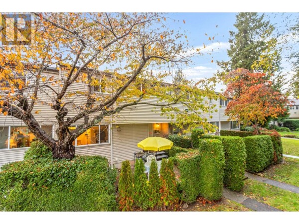 Photo 1 - Backyard - 80 3437 E 49TH AVENUE, Vancouver, BC V5S1M1