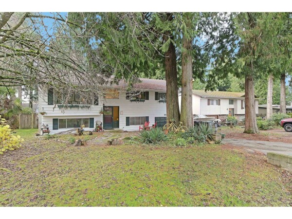 Photo 2 - Backyard - 1941 127A STREET, Surrey, BC V4A3S8