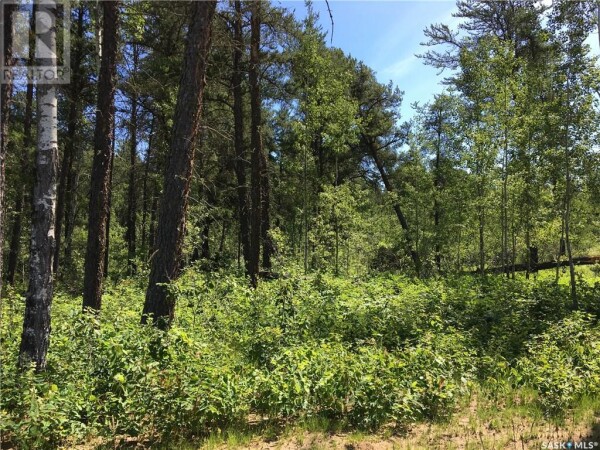 Photo 2 at Prime Acreage Parcel 3.13 Acres, Nipawin Rm No. 487, SK S0E1E0