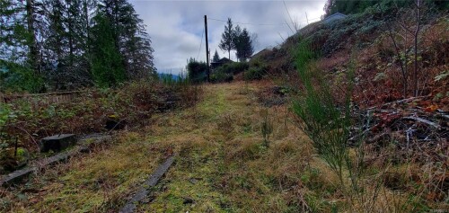 Picture of 456 Cardiac Climb Rd, Tahsis BC V0P 1X0