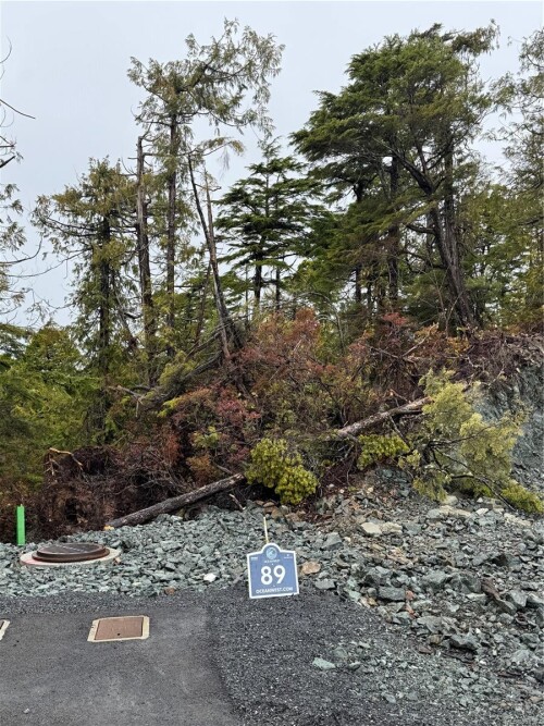 Picture of Lot 89 Raven Lane, Ucluelet BC V0R 3A0