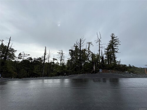 Picture of Lot 91 Raven Lane, Ucluelet BC V0R 3A0