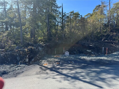 Picture of Lot 103 Raven Lane, Ucluelet BC V0R 3A0