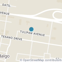 Map location of 711 E Tulipan St, Hidalgo TX 78557