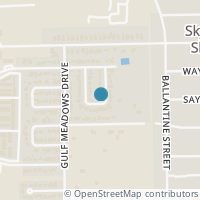 Map location of 10226 Palm Shadows St, Houston TX 77075
