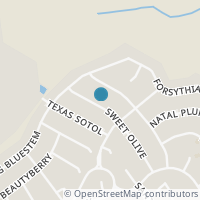 Map location of 3703 SWEET OLIVE, San Antonio, TX 78261