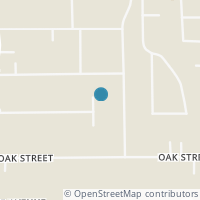 Map location of 101 Rice St, Anahuac TX 77514