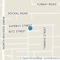 Map location of 8009 Ritz Street, Houston, TX 77028