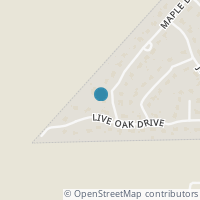 Map location of 224 Maple Dr, Mountain City TX 78610