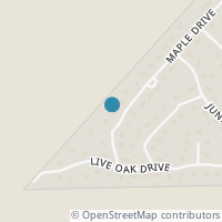 Map location of 218 Maple Dr, Mountain City TX 78610