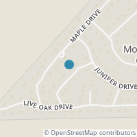 Map location of 204 Ash Dr, Mountain City TX 78610