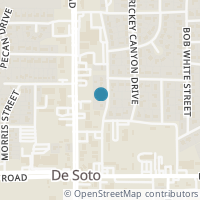 Map location of 205 N Lyndalyn Avenue, DeSoto, TX 75115