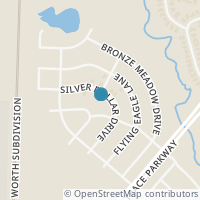 Map location of 9229 Silver Dollar Dr, Fort Worth TX 76131