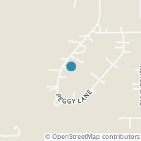 Map location of 295 Peggy Ln, Gunter TX 75058