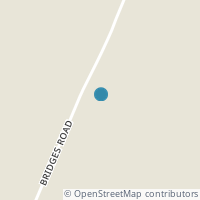 Map location of 9780 Bridges Rd, Leesburg OH 45135
