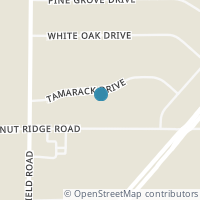 Map location of 7014 Tamarack Dr, Hubbard OH 44425