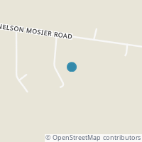 Map location of 3965 Nelson Mosier Rd, Leavittsburg OH 44430