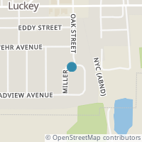 Map location of 338 Miller Ave, Luckey OH 43443