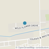 Map location of 1196 Wildflower Dr, Metamora OH 43540