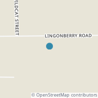 Map location of 65151 Lingonberry Ave, Ninilchik AK 99639