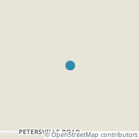 Map location of E Petersville Rd, Talkeetna AK 99676